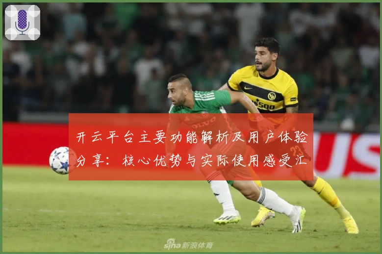 开云平台主要功能解析及用户体验分享：核心优势与实际使用感受汇总
