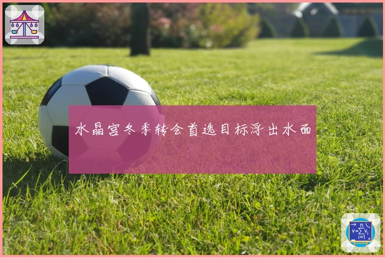 水晶宫冬季转会首选目标浮出水面