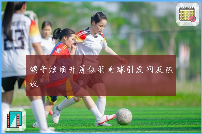 鸽子炫丽开屏似羽毛球引发网友热议