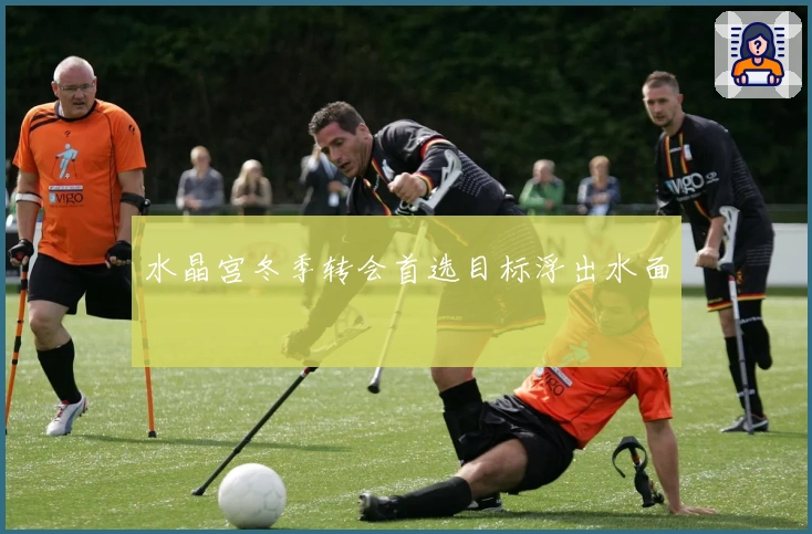 水晶宫冬季转会首选目标浮出水面